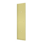 Deltana Placa de Empuje con Jaladera 3-1/2" x 15" — Latón Pulido