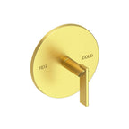 Newport Brass Pavani 4-2494BP — Placa de Regadera — Presión Balanceada — Latón Satinado (PVD)