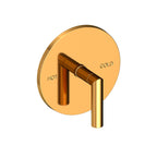Newport Brass Pavani 4-3104BP — Placa de Regadera — Presión Balanceada — Oro Pulido (PVD)