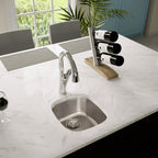 Elkay Tarja Lustertone® Classic Acero Inoxidable 14-1/4" x 15-3/4" x 5-15/16" de Un Tazón Bajo Cubierta — ambiente de cocina
