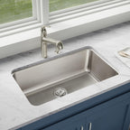 Elkay Tarja Lustertone® Classic Acero Inoxidable 30-1/2" x 18-1/2" x 10" de Un Tazón Bajo Cubierta — ambiente de cocina