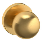 Baldwin Hardware Perilla 5041 con Roseta 5046 — Latón satinado Lifetime — Paso