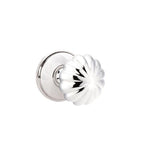 Cromo Pulido · Watford Rosette