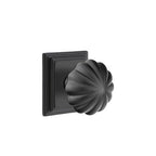 Negro Mate · Wilshire Rosette
