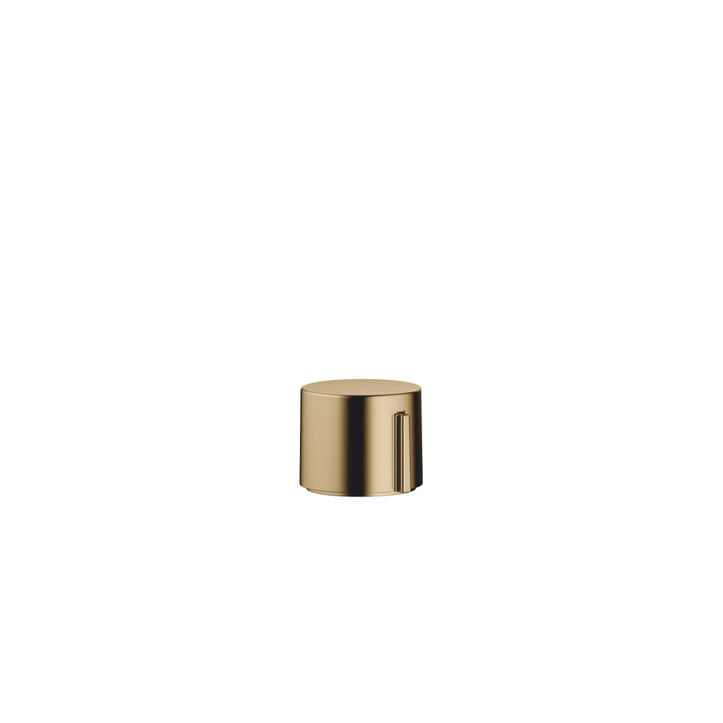 Accionamiento excéntrico Dornbracht con maneta giratoria de cuerpo cilíndrico sin roseta, vista frontal sobre fondo blanco, acabado Dark Brass cepillado (PVD)