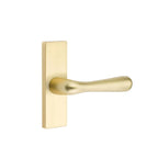 Latón Satinado · 1-1/2"x5" Rosette