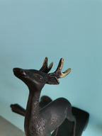 Venado Macho Con Cascada