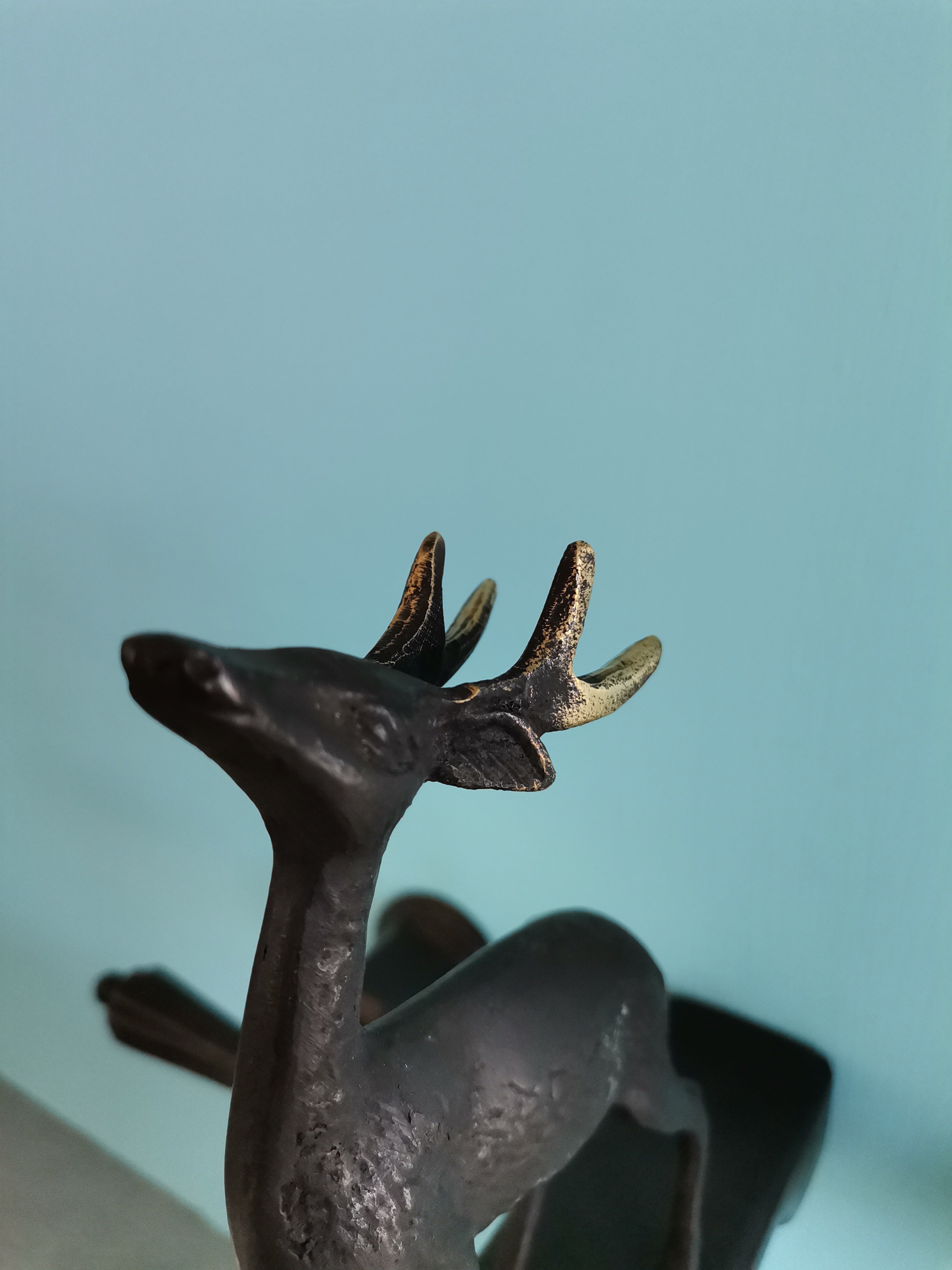 Venado Macho Con Cascada