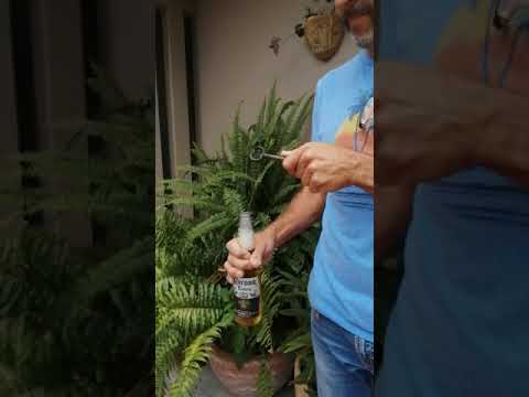 Llave Destapador De Botellas Bronce